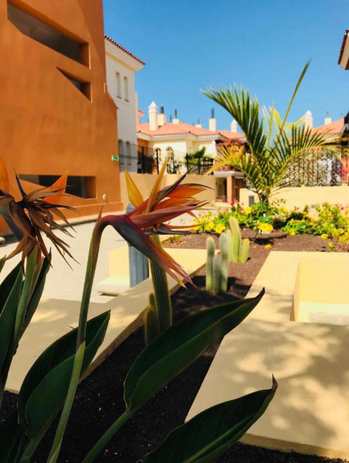 Appartamento Selena Luxury Monte Carrera La Playa de Arguineguín Esterno foto